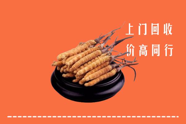 高价求购：巴州区回收散虫草