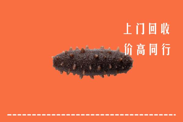 高价求购：巴州区回收海参