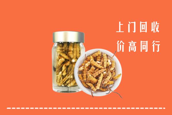 巴州区回收冬虫夏草
