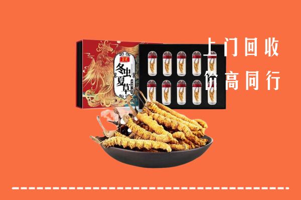巴州区回收虫草